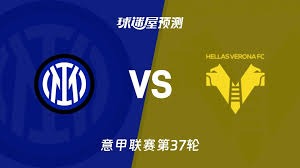 2023世界杯球员联赛分布分析英超领先
